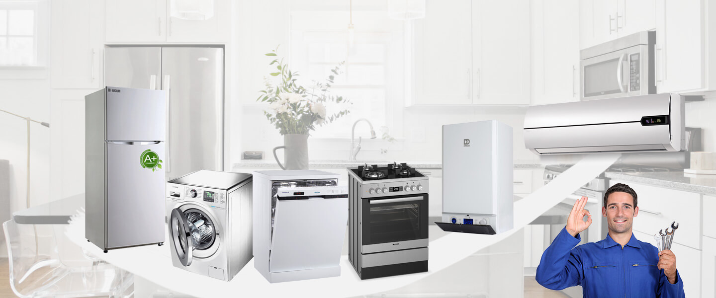 Burdur Dominox Servisi